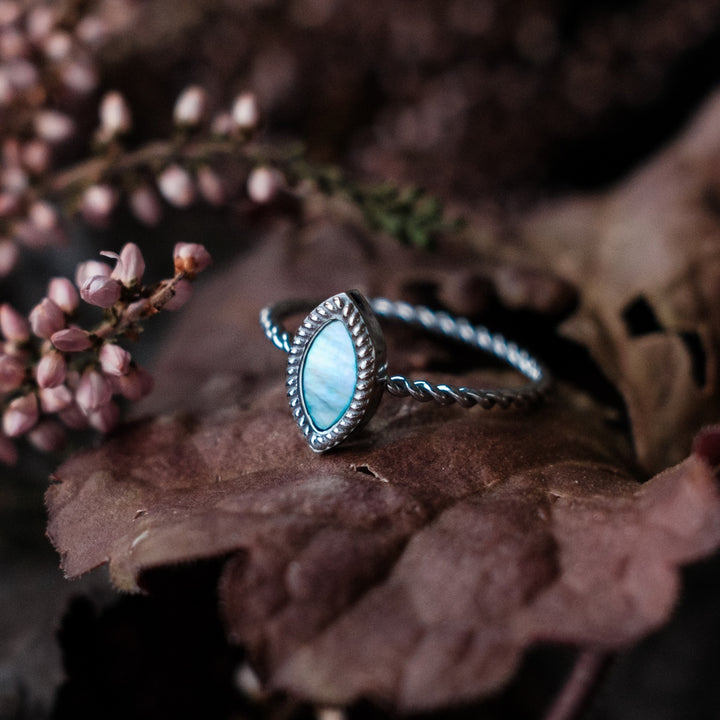 Visual Ring