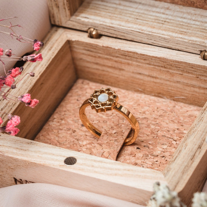 Composition Ring