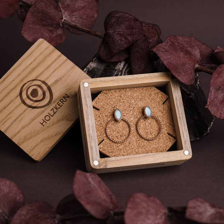 Visual Earrings