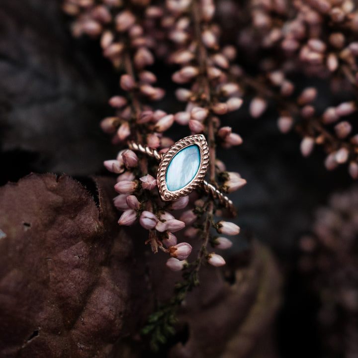 Visual Ring