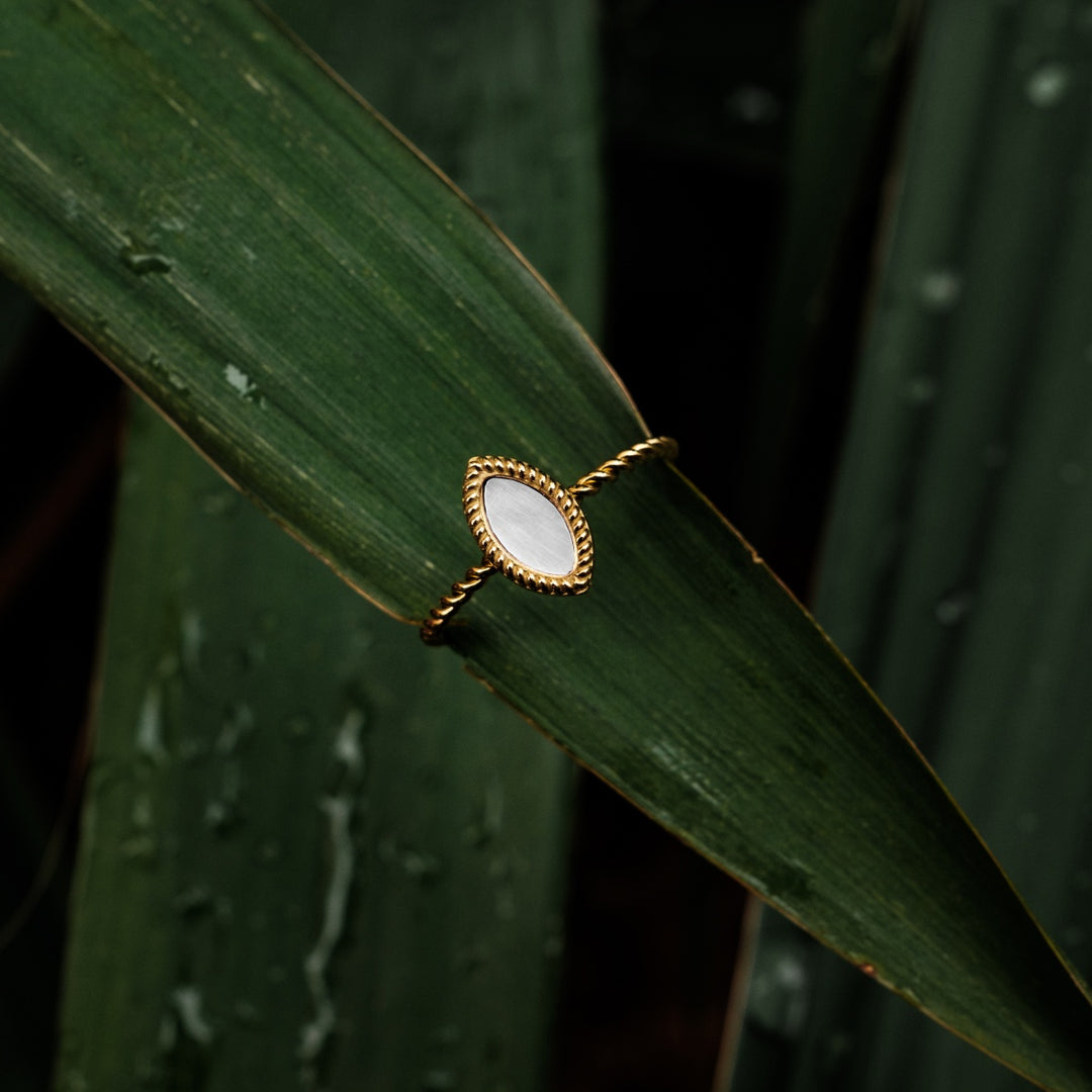 Visual Ring