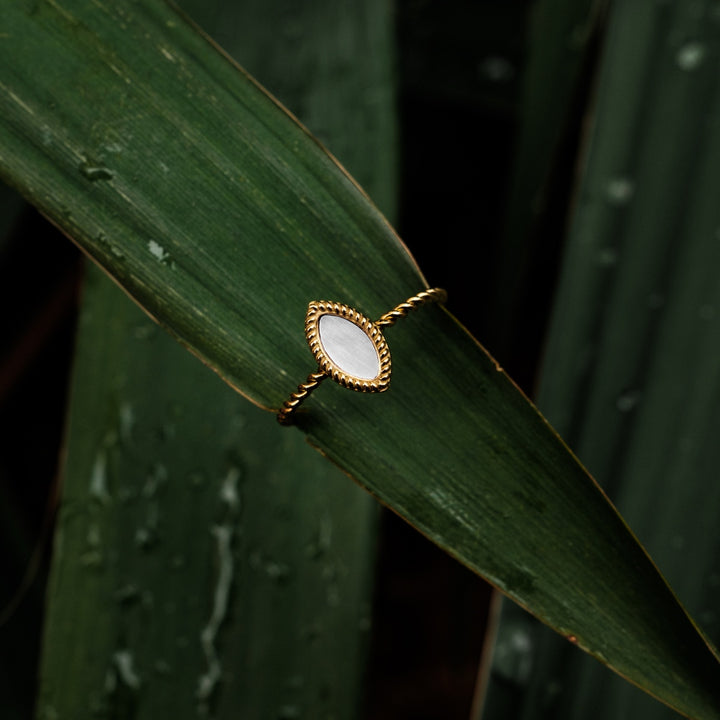 Visual Ring