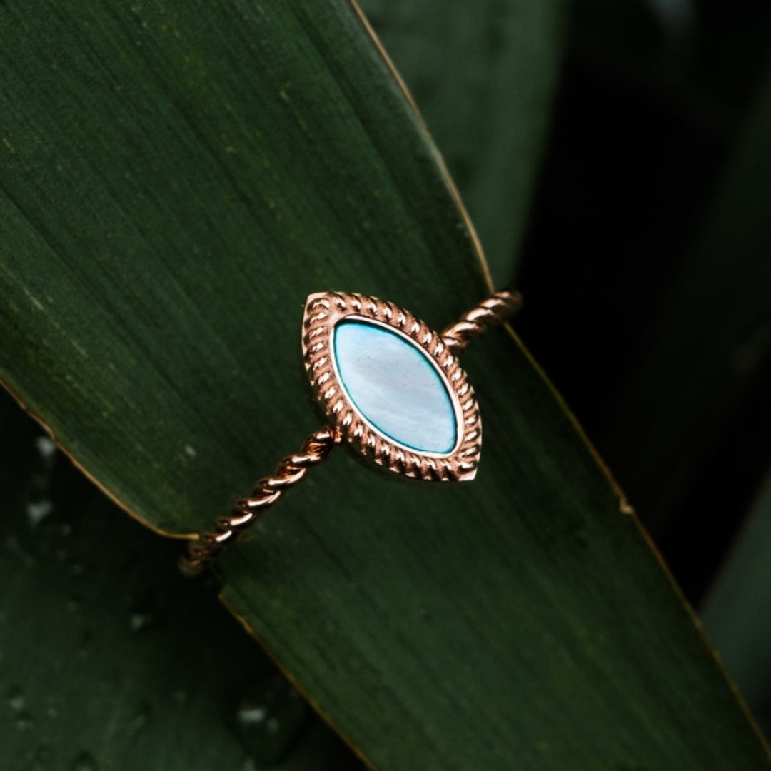 Visual Ring
