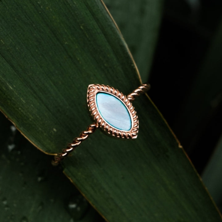 Visual Ring