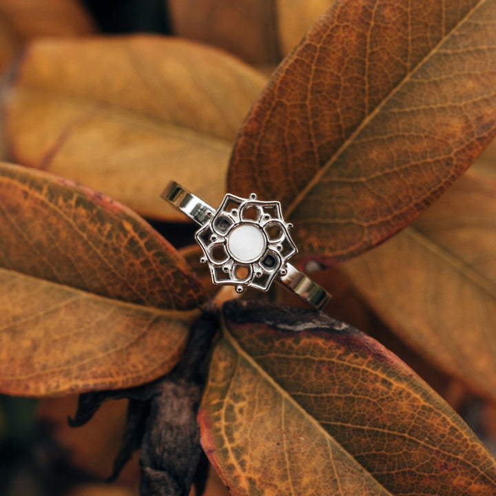 Composition Ring
