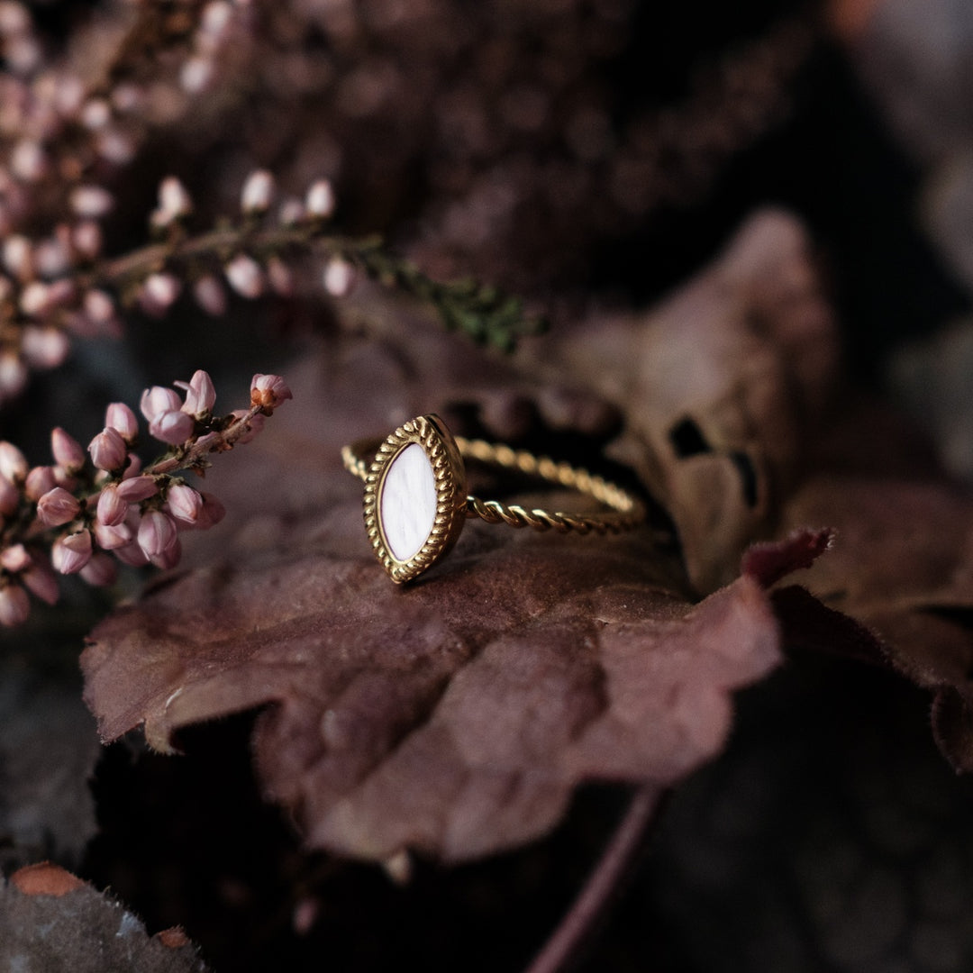 Visual Ring