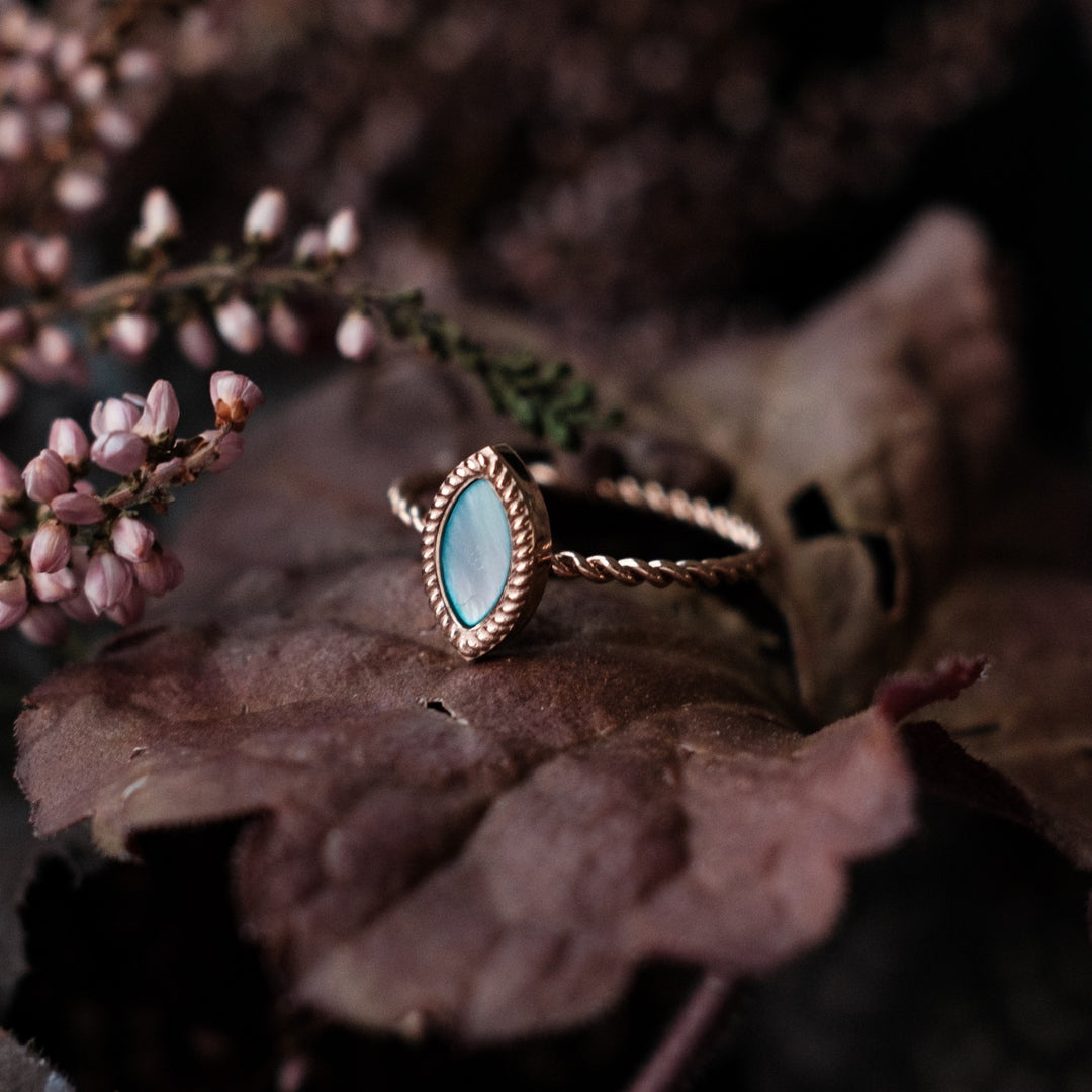 Visual Ring